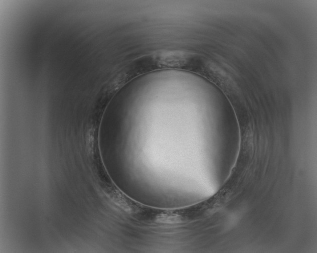 X0000073840271200608171014