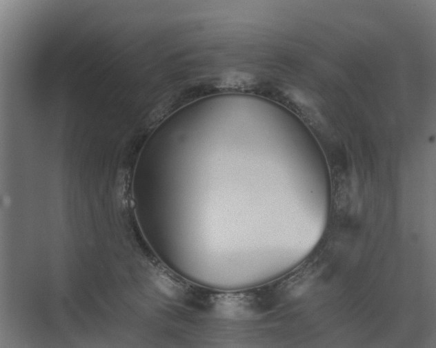 X0000073840273200608171014