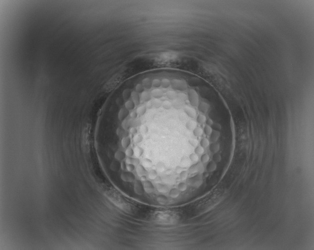 X0000073840275200608171014