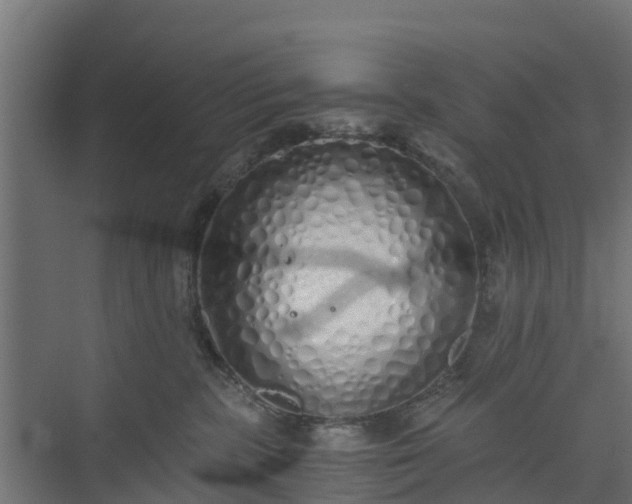 X0000073840283200608171015