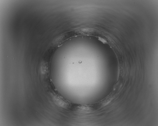 X0000073840284200608171015