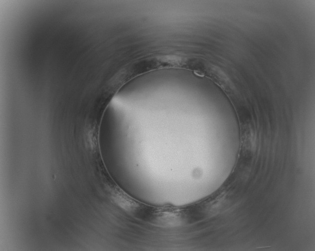 X0000073840285200608171015