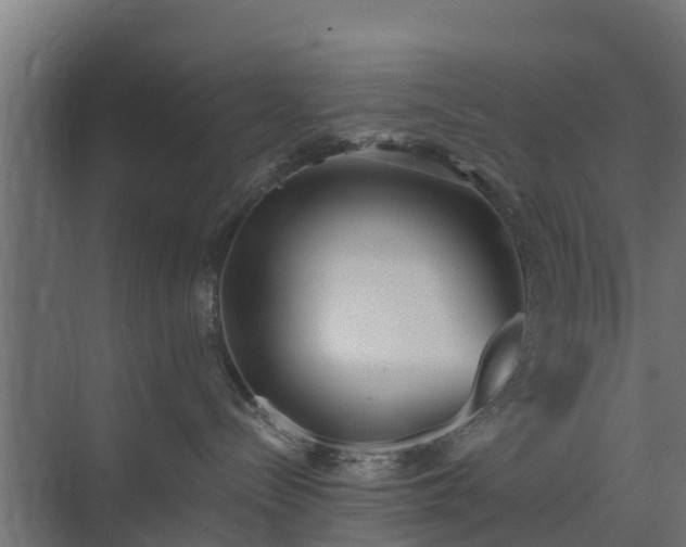 X0000073840288200608171015