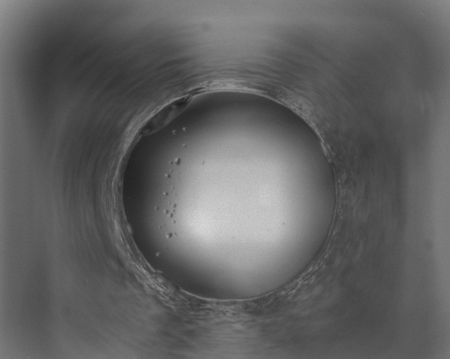 X0000073840289200608171014