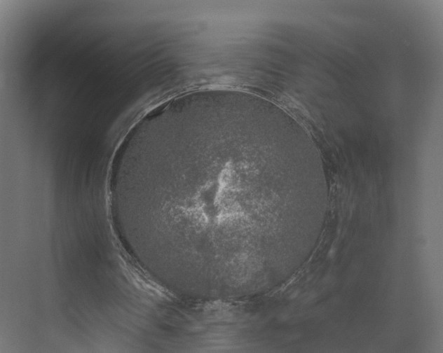 X0000073840290200608171014