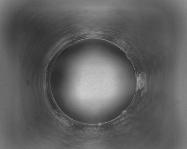 X0000073840291200608171014