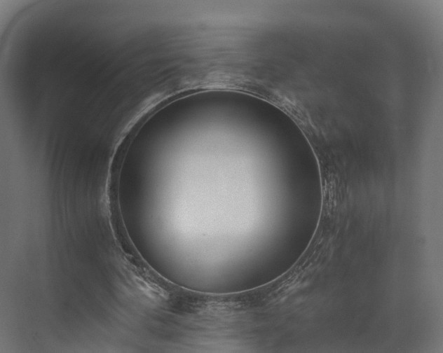 X0000073840292200608171014