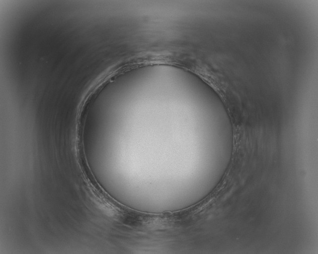 X0000073840293200608171014