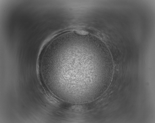 X0000073840294200608171014