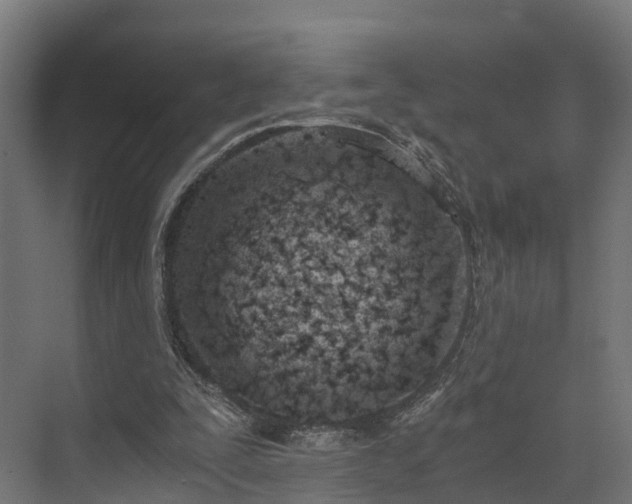 X0000073840295200608171014