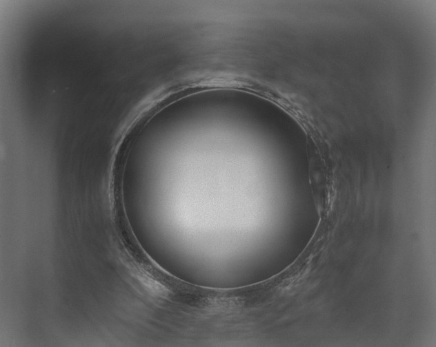 X0000073840296200608171014