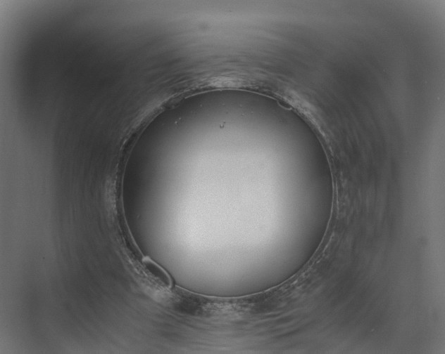 X0000073840297200608171014