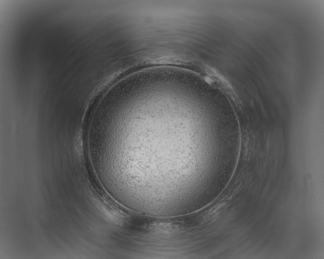 X0000073840298200608171014