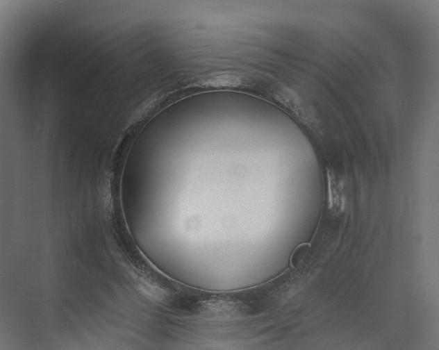 X0000073840300200608171014