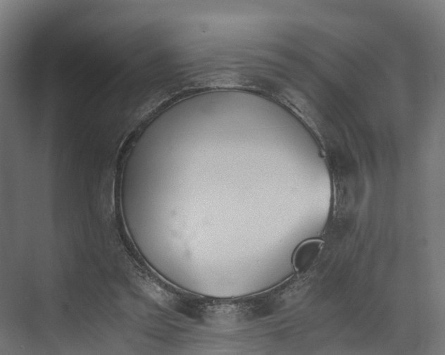 X0000073840301200608171014