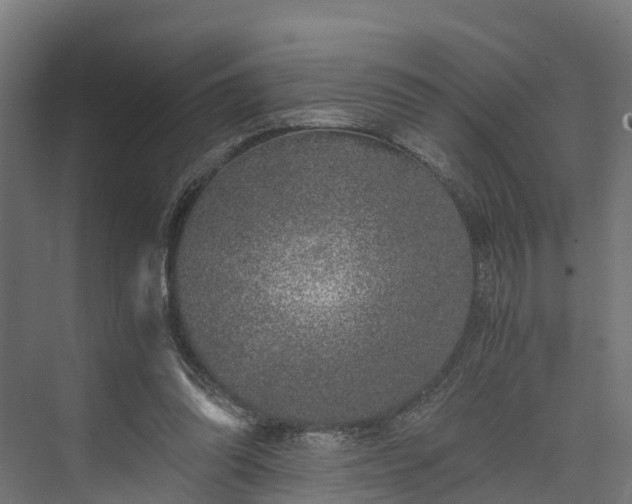 X0000073840302200608171014