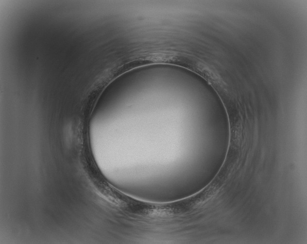 X0000073840303200608171014