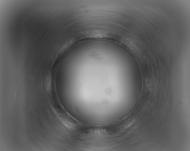 X0000073840304200608171014