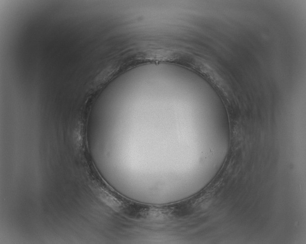 X0000073840305200608171014