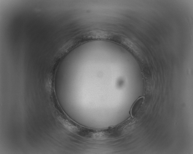 X0000073840309200608171014