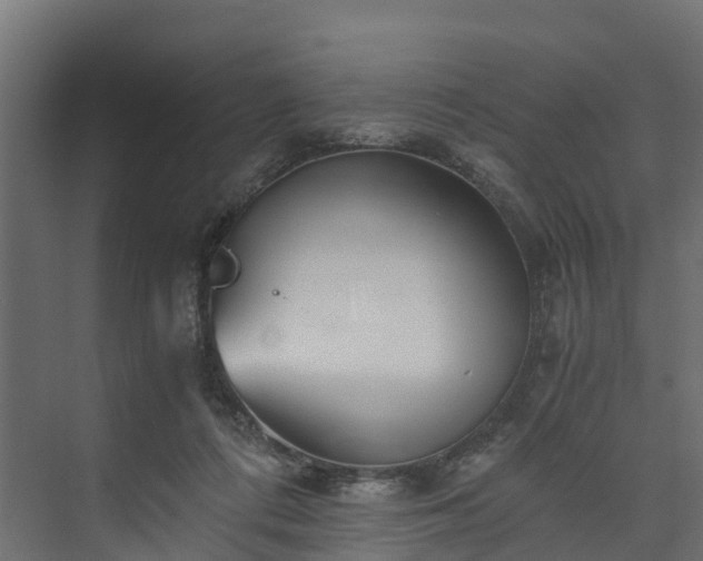 X0000073840312200608171014