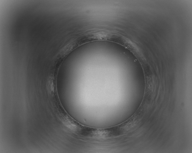 X0000073840313200608171013