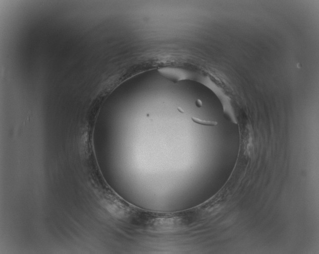 X0000073840314200608171013