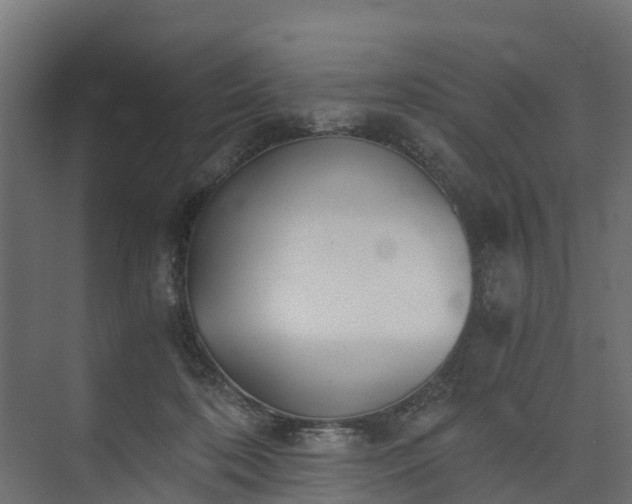 X0000073840316200608171013