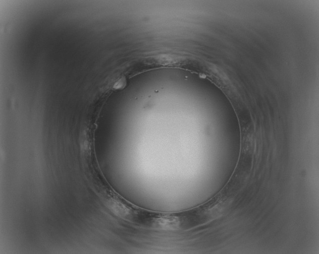 X0000073840317200608171013