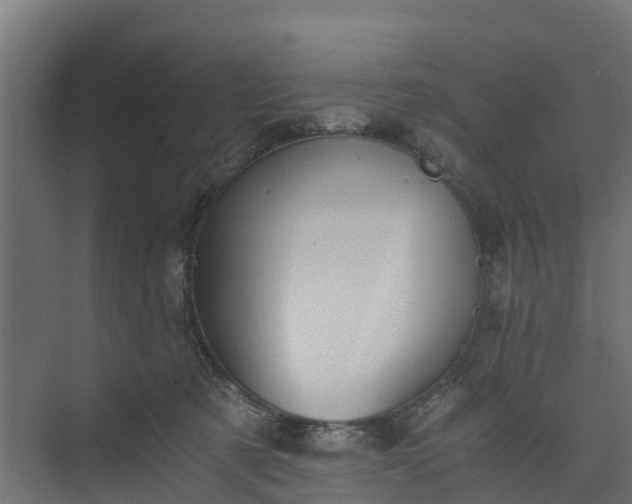 X0000073840321200608171013