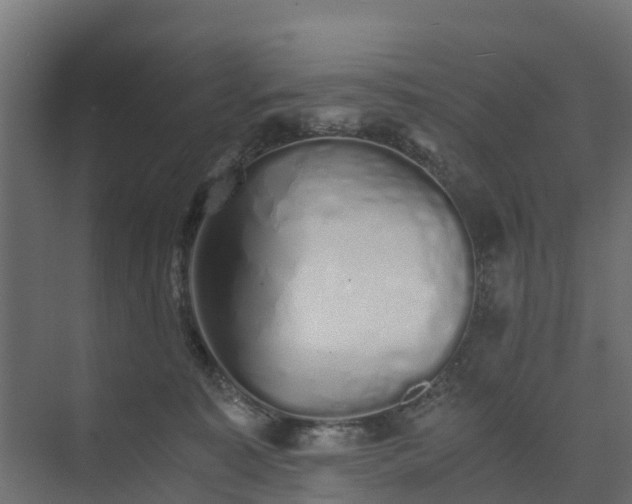 X0000073840323200608171013