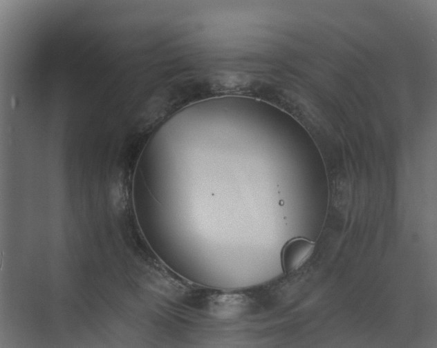 X0000073840324200608171013