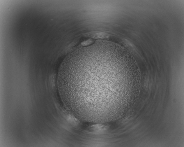 X0000073840326200608171013