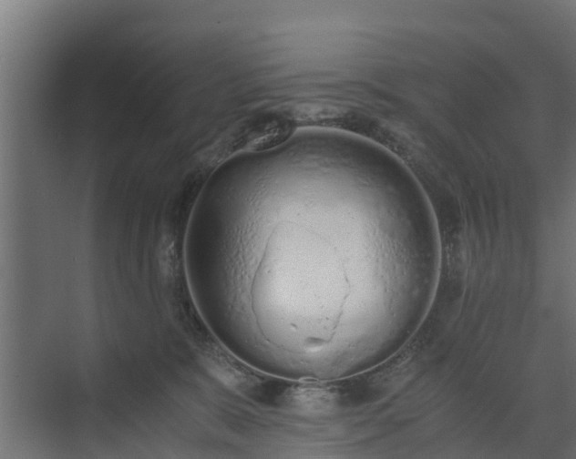 X0000073840327200608171013