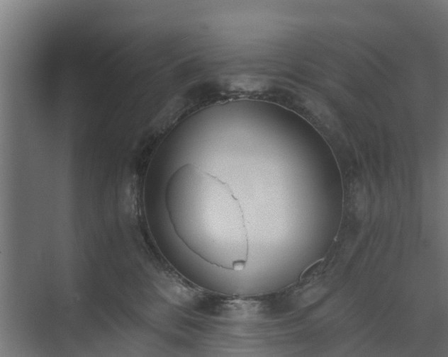 X0000073840328200608171013