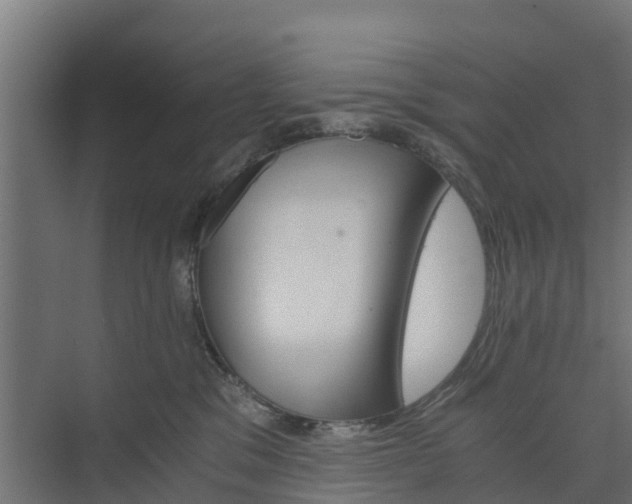 X0000073840329200608171013