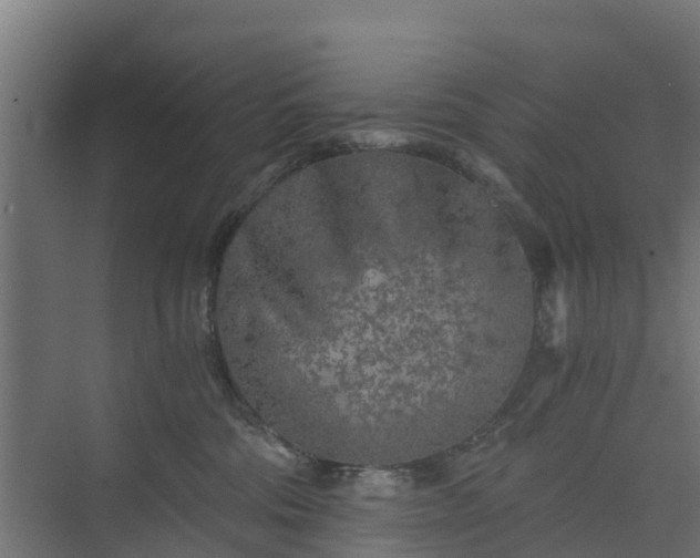 X0000073840330200608171013