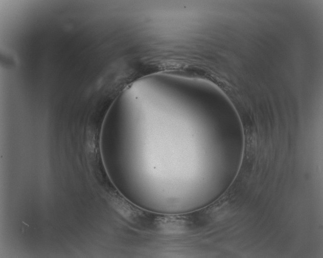 X0000073840331200608171013