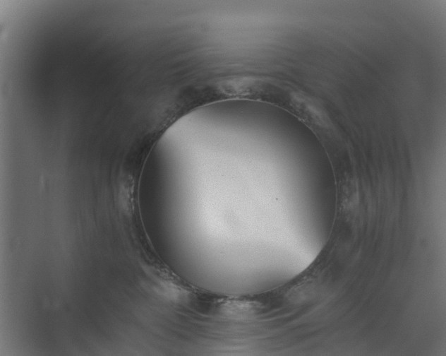 X0000073840332200608171013