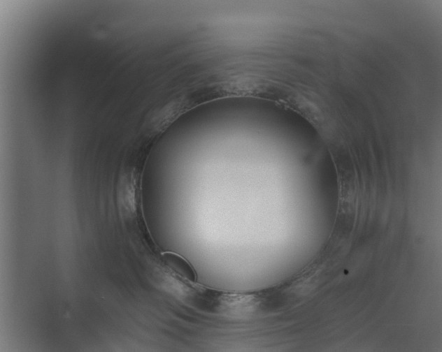 X0000073840334200608171013