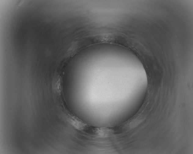 X0000073840336200608171013