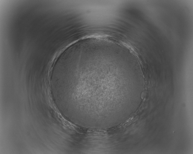 X0000073840337200608171012