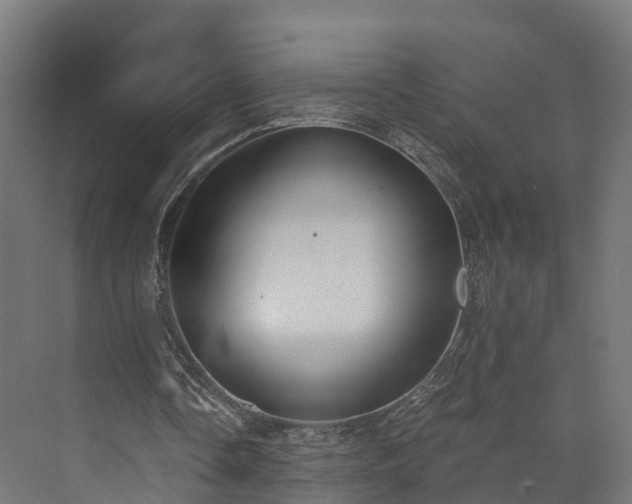 X0000073840338200608171012