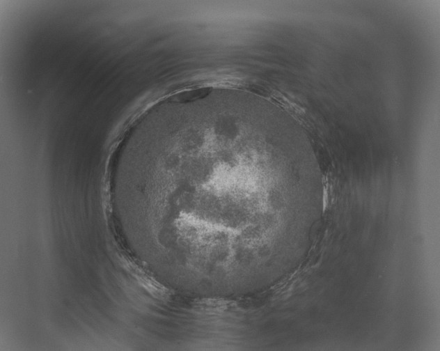 X0000073840339200608171012