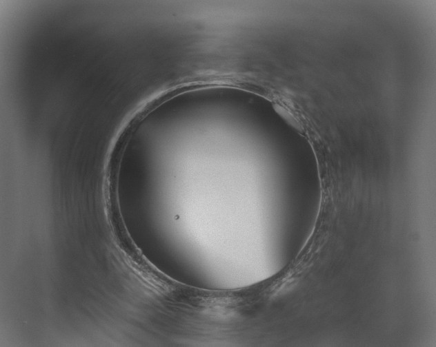 X0000073840342200608171012