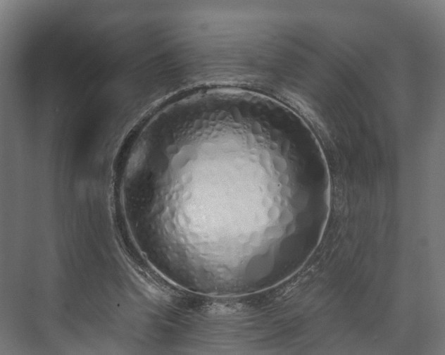 X0000073840346200608171012