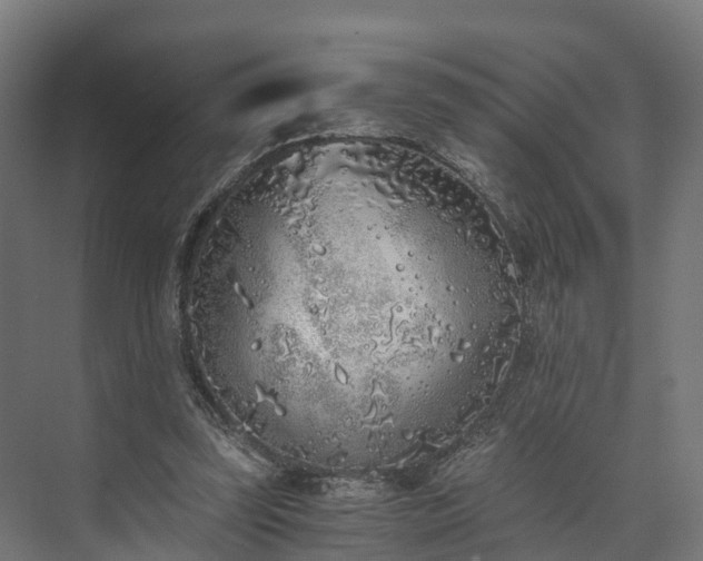 X0000073840347200608171012