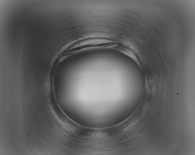 X0000073840348200608171012