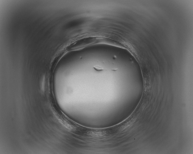 X0000073840349200608171013