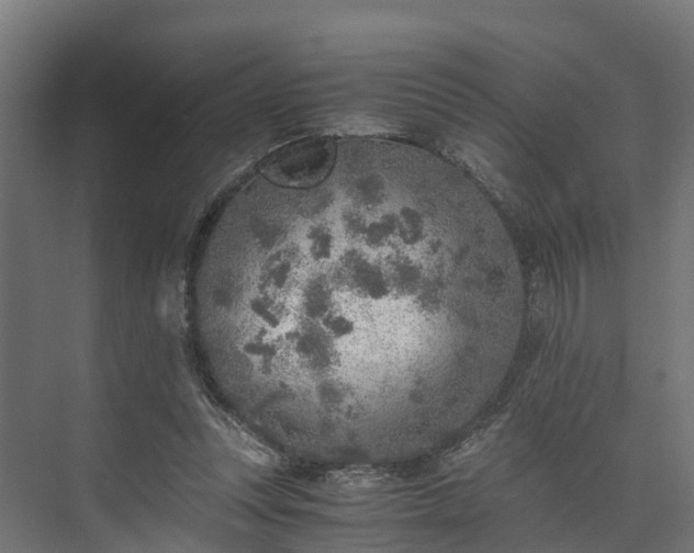 X0000073840351200608171013